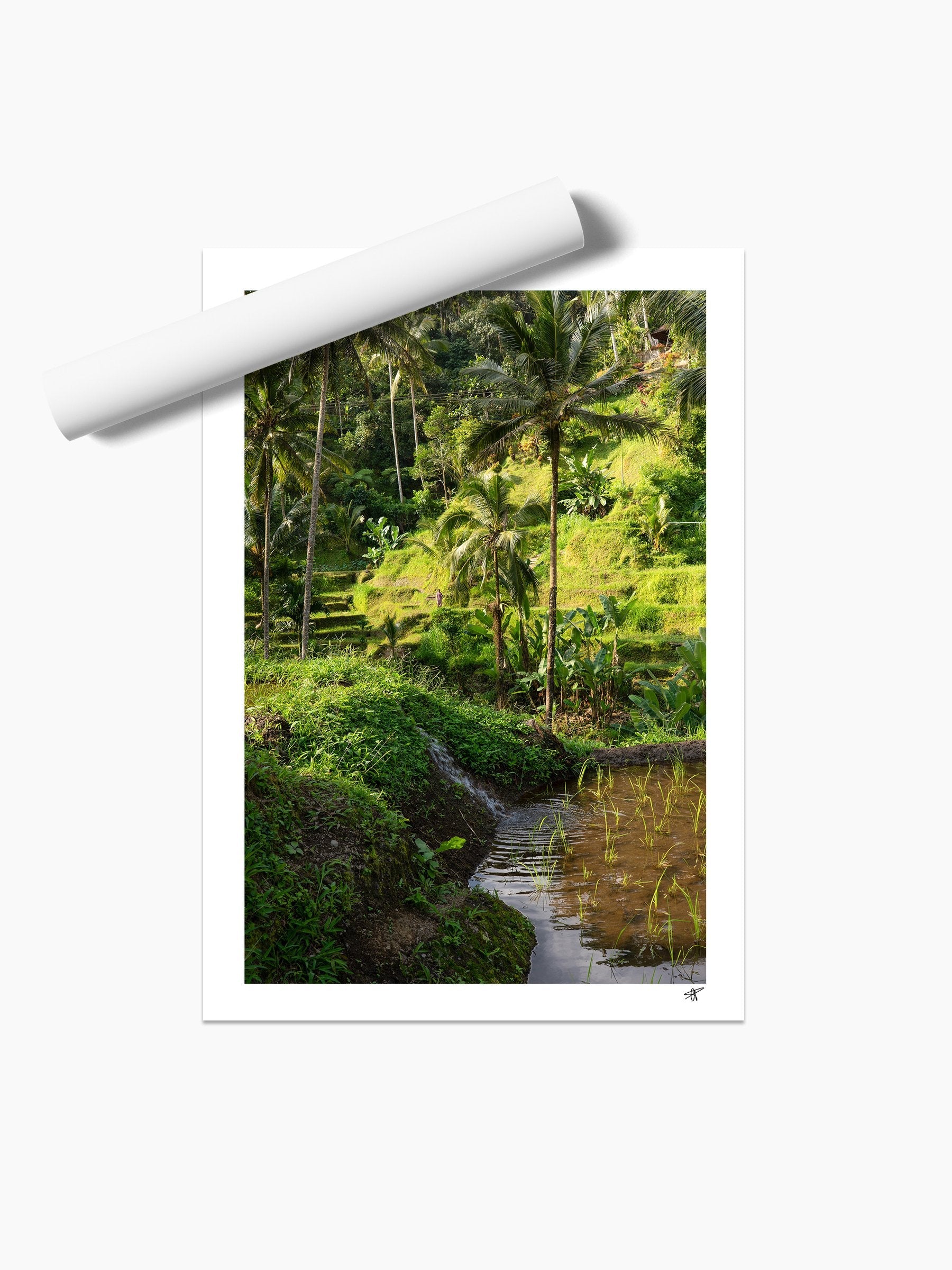 Unframed print