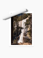 Unframed print