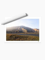 Unframed print