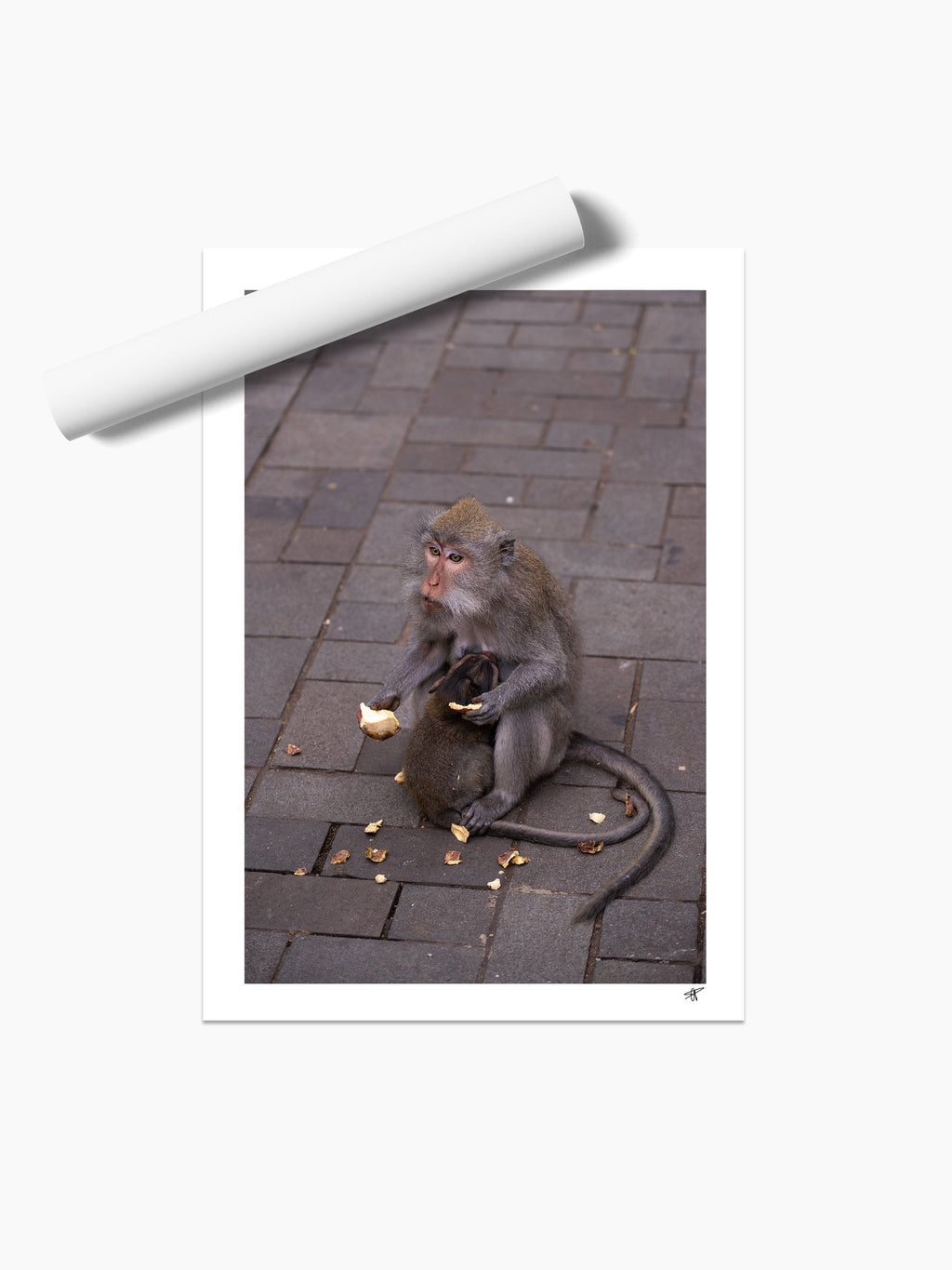 Unframed print