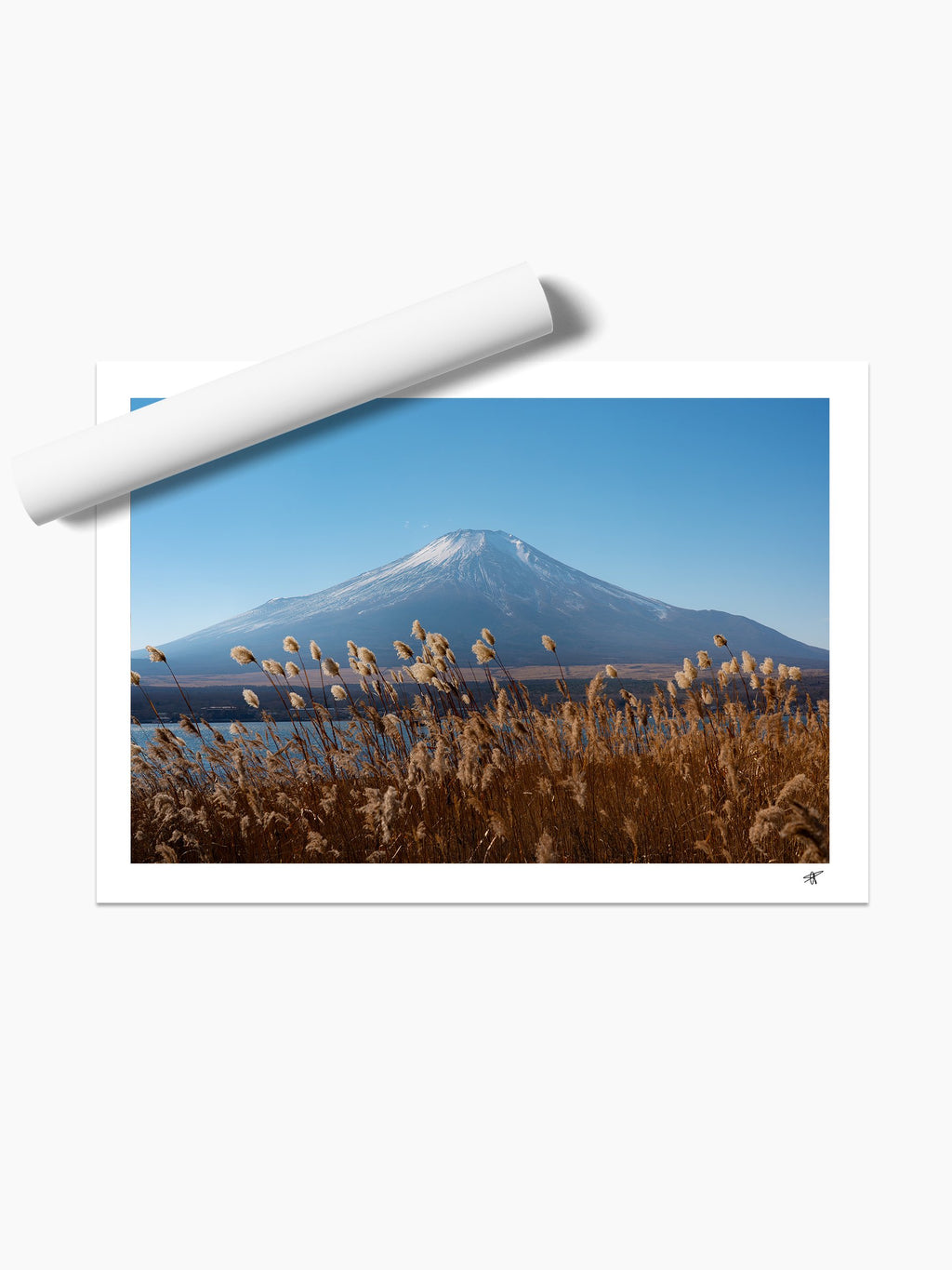 Unframed print