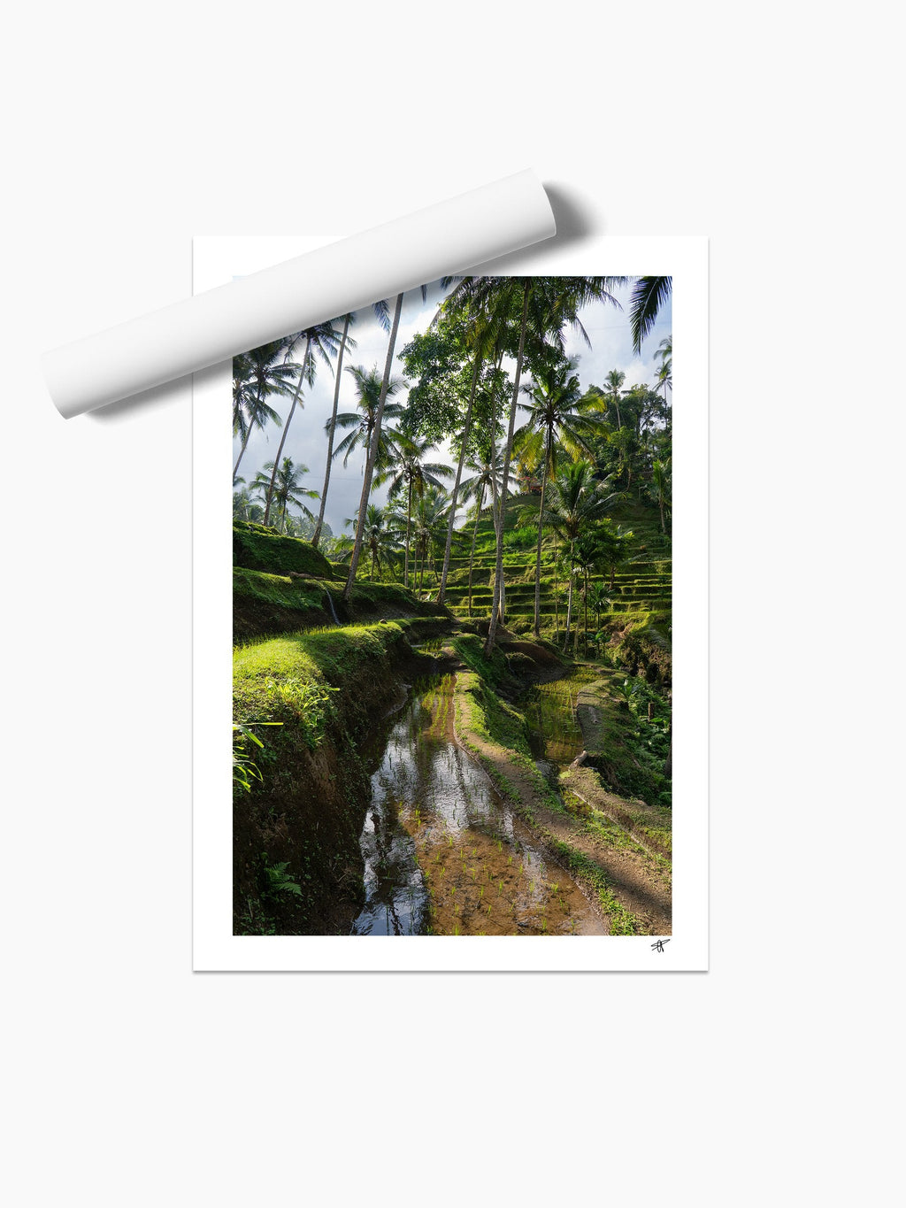 Unframed print