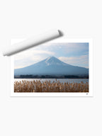 Unframed print
