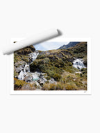 Unframed print