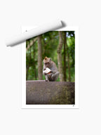 Unframed print