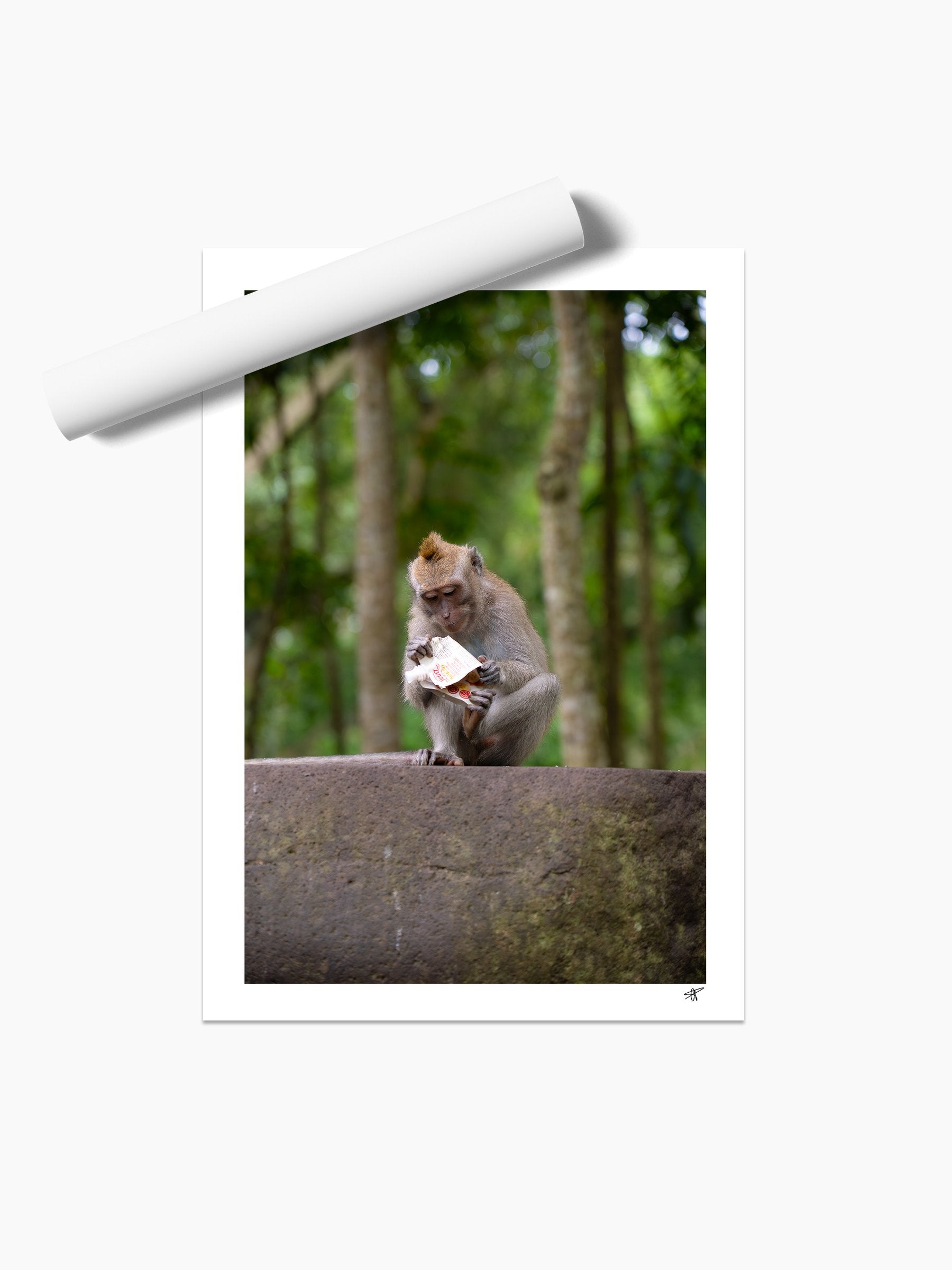 Unframed print