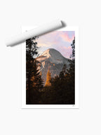 Unframed print