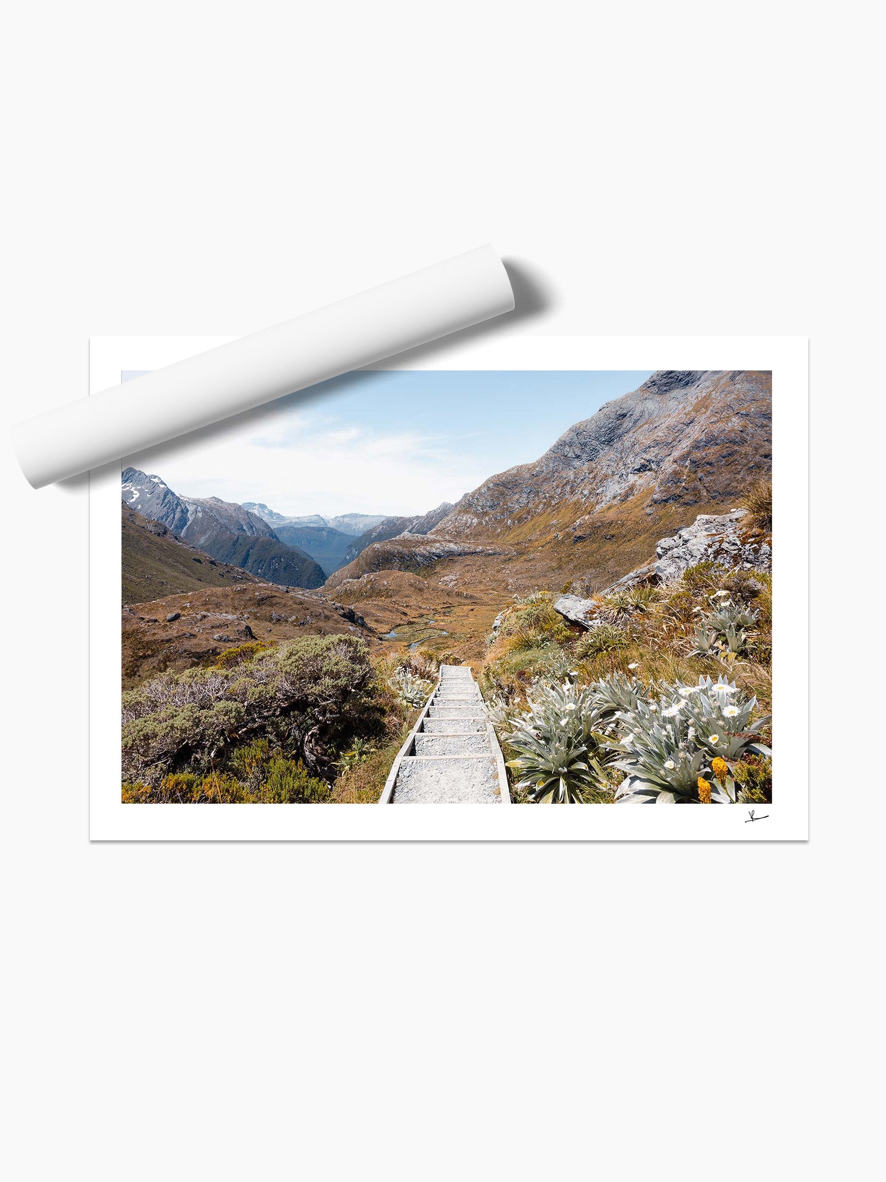 Unframed print