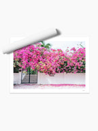 Unframed print