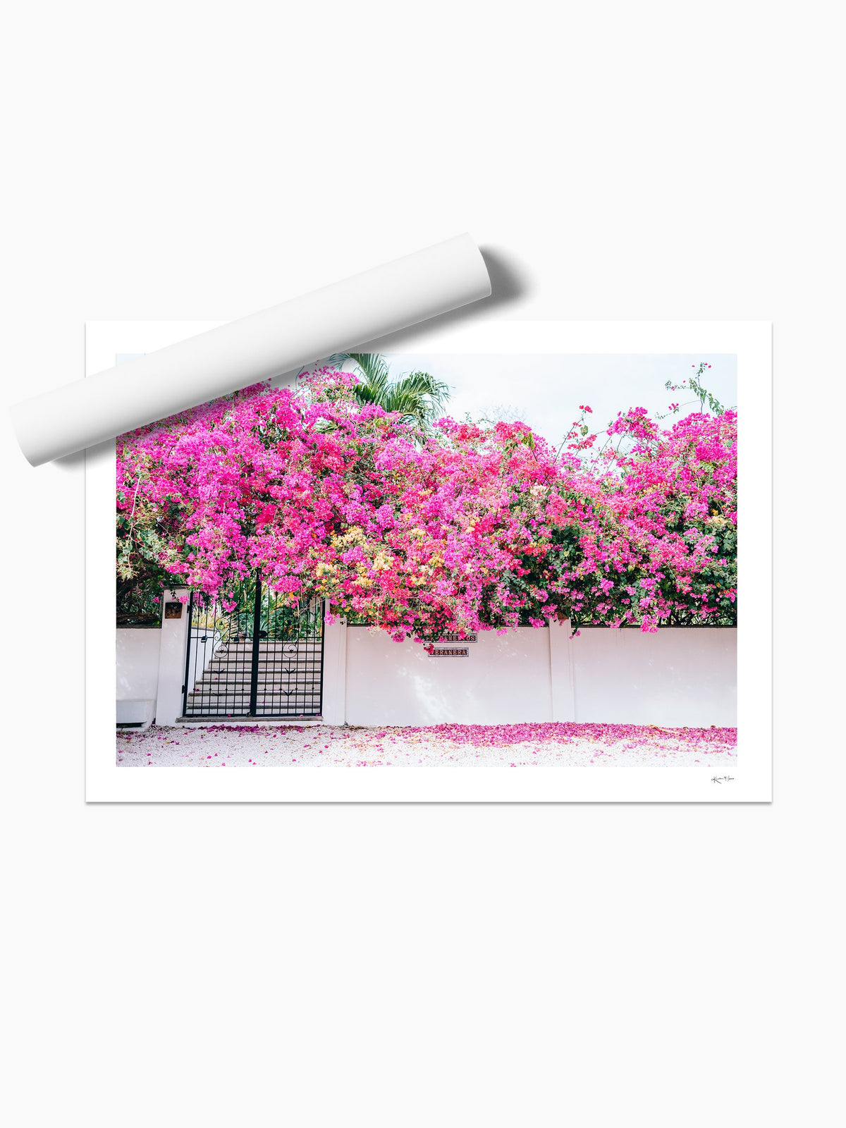 Unframed print