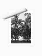 Unframed print