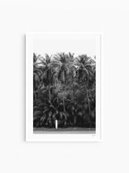 White Frame