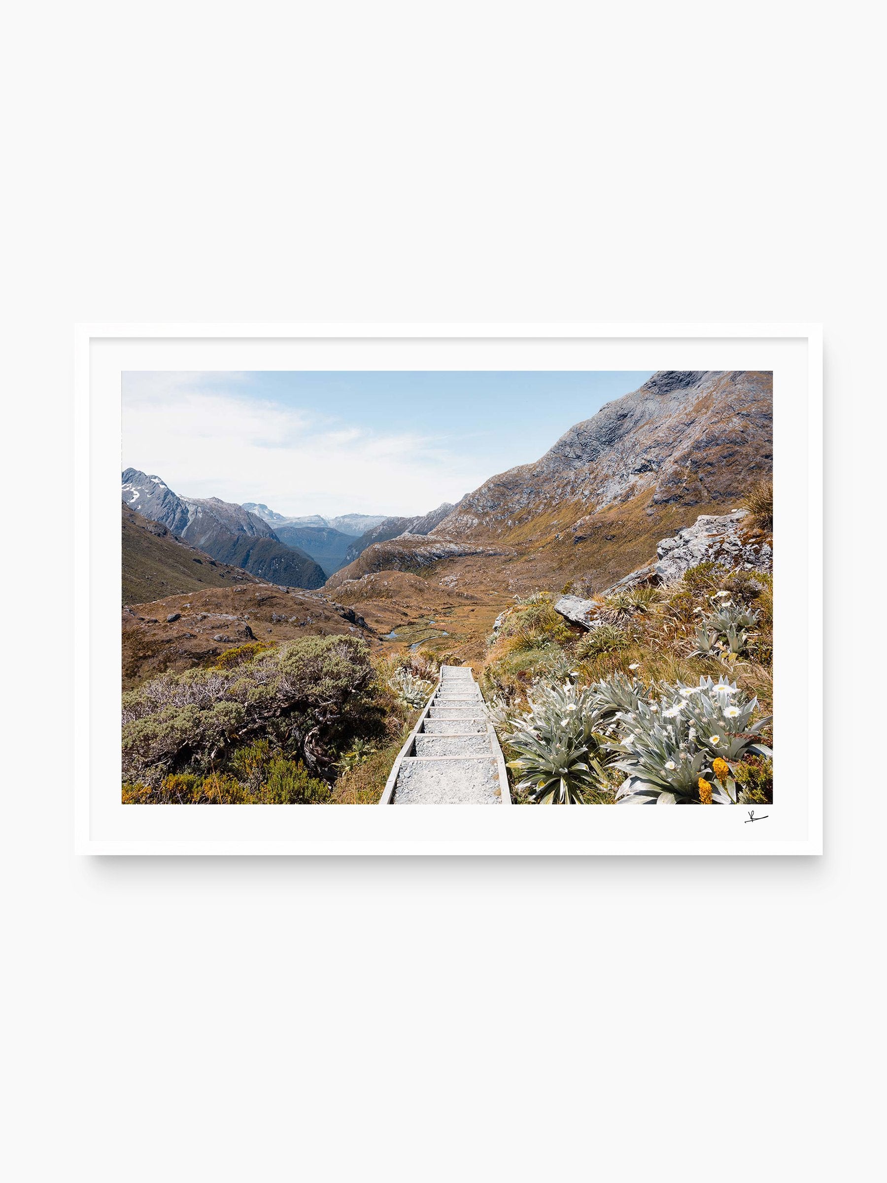 White Frame