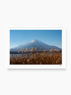 White Frame