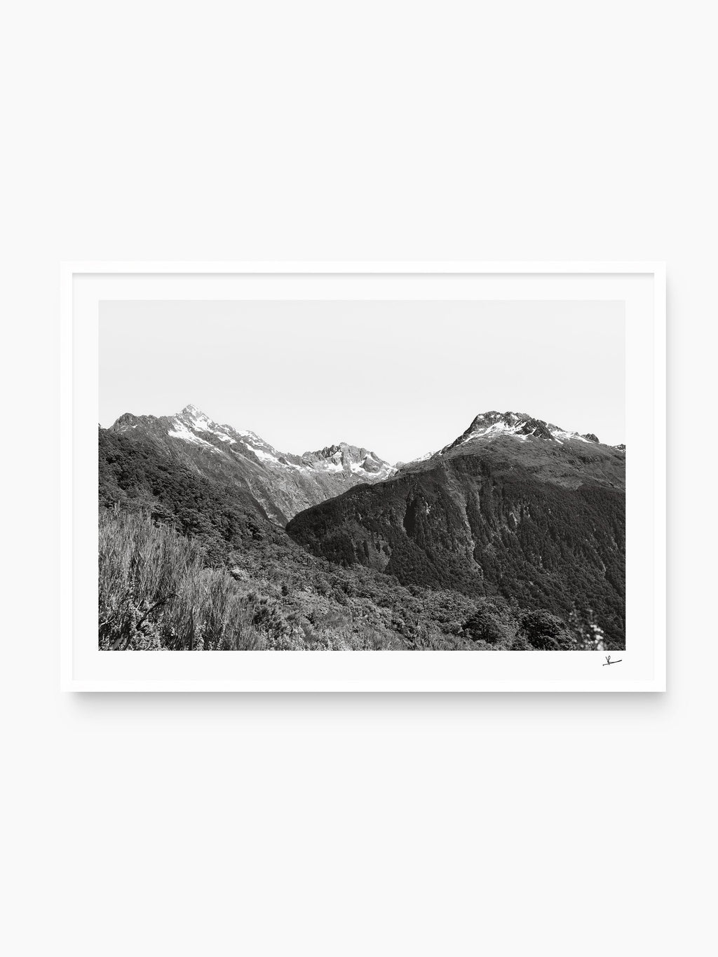 White Frame