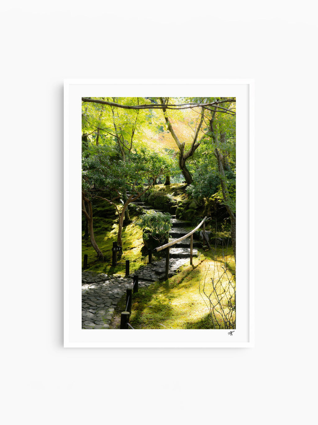 White Frame