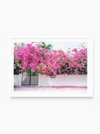White Frame