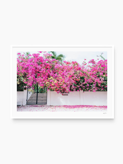 White Frame