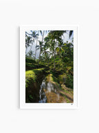 White Frame