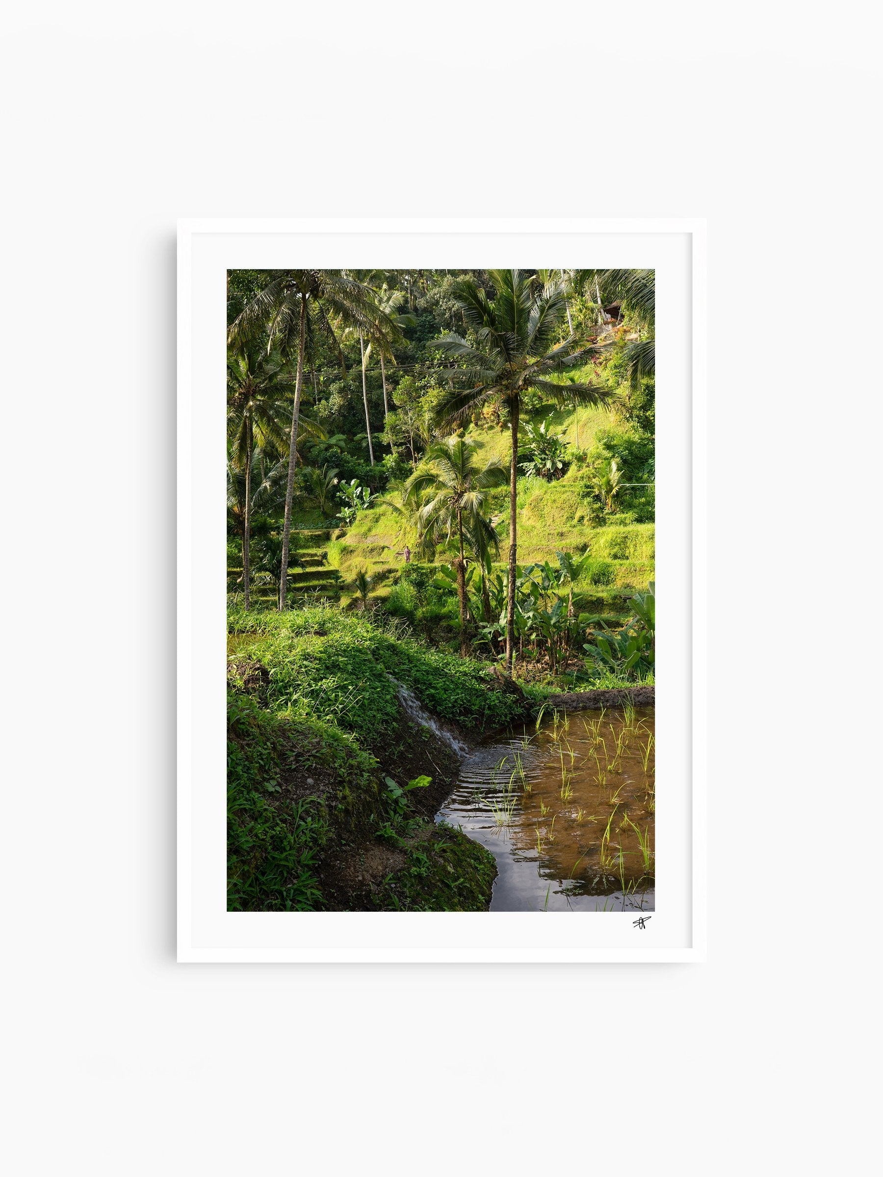 White Frame