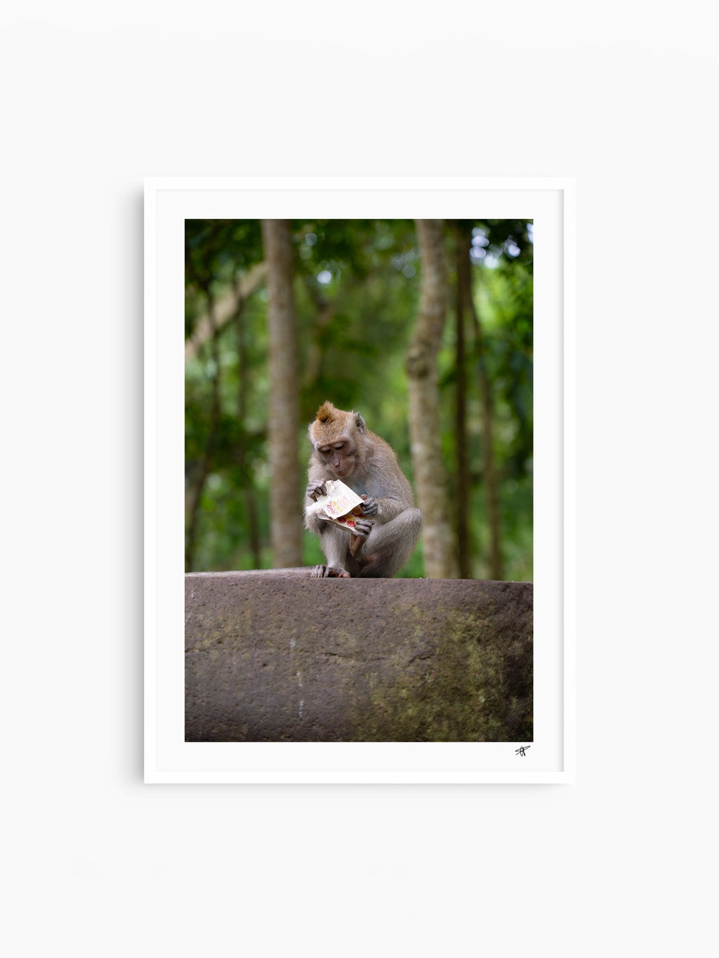 White Frame