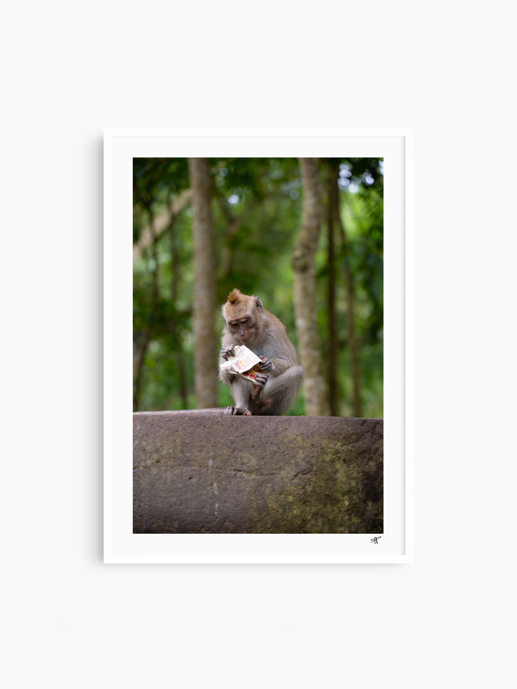White Frame