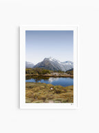 White Frame