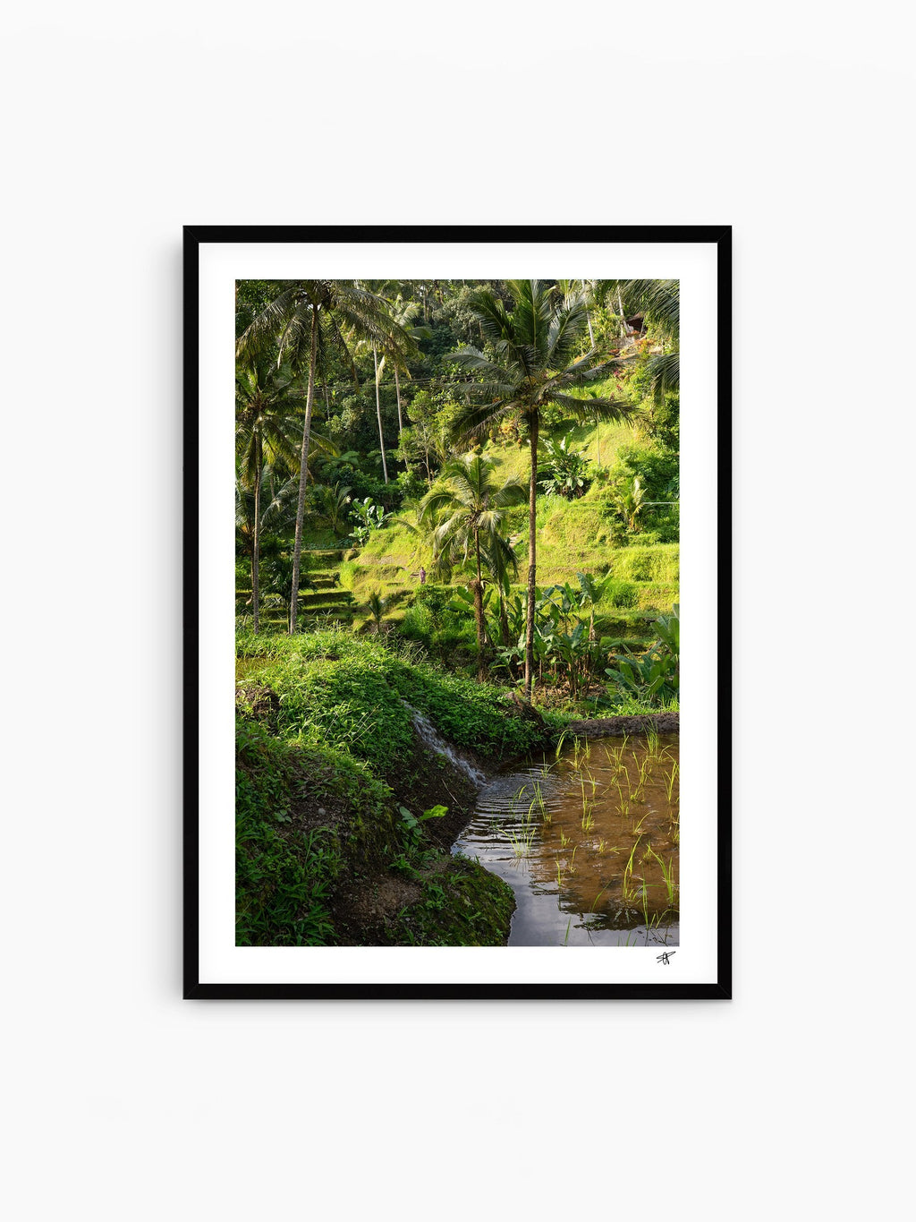 Black Frame