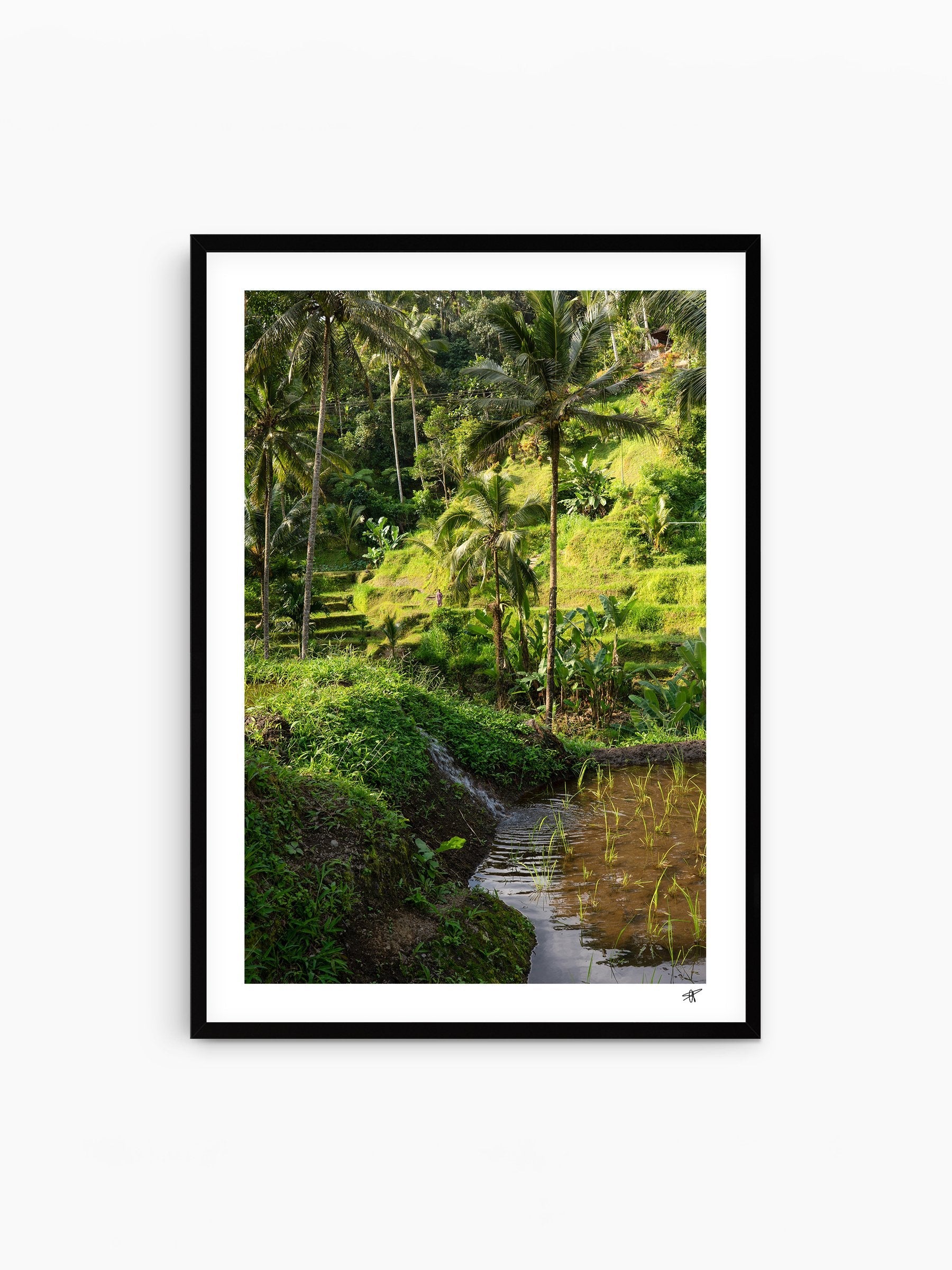 Black Frame