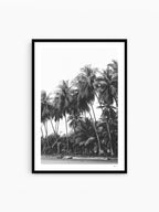 Black Frame