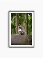 Black Frame