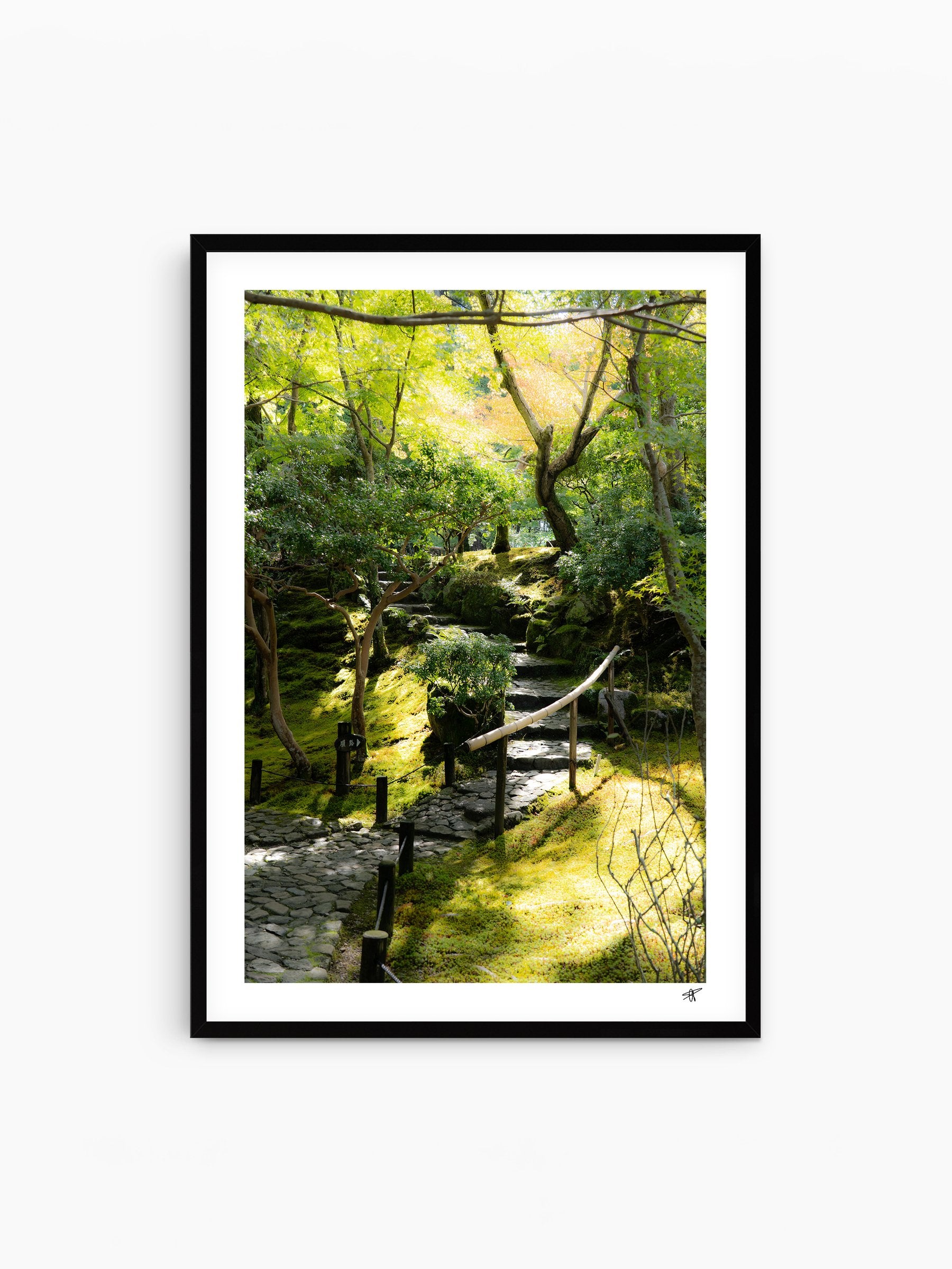 Black Frame