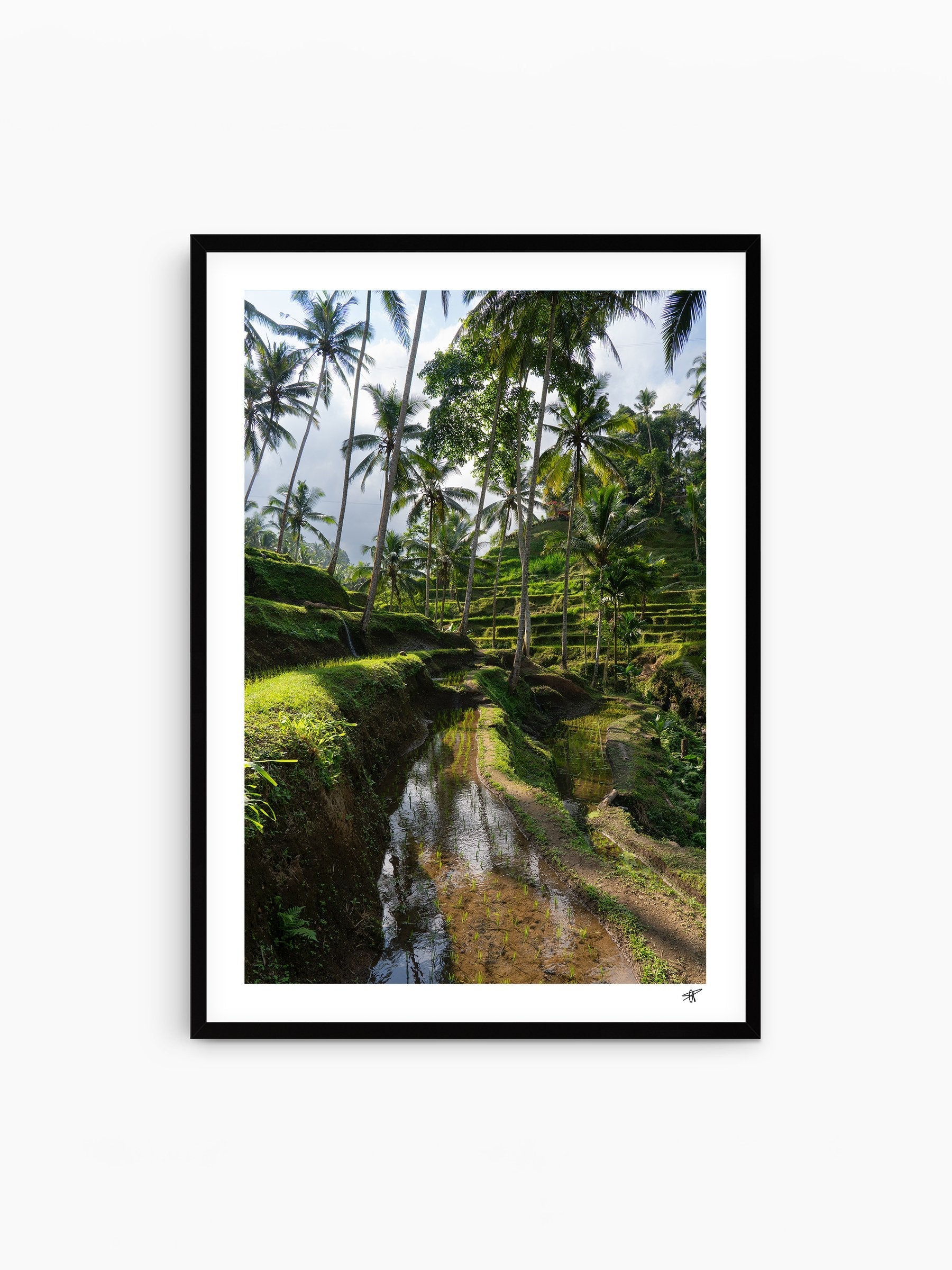 Black Frame