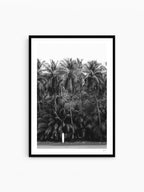Black Frame