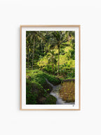 Natural Wood Frame