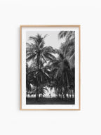 Natural Wood Frame