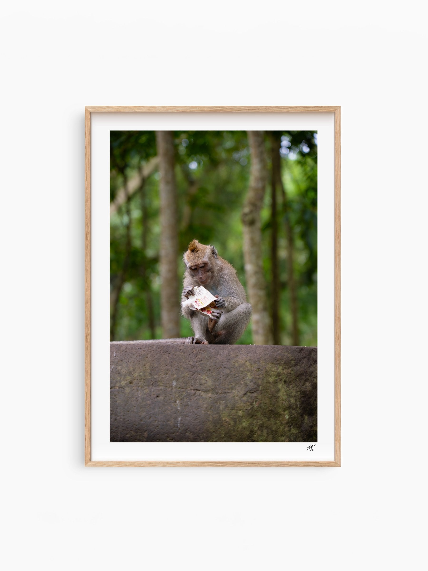 Natural Wood Frame