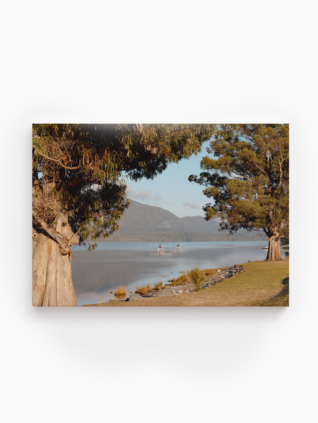 Stretched Canvas