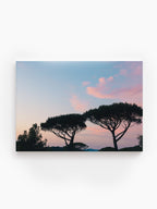 Stretched Canvas