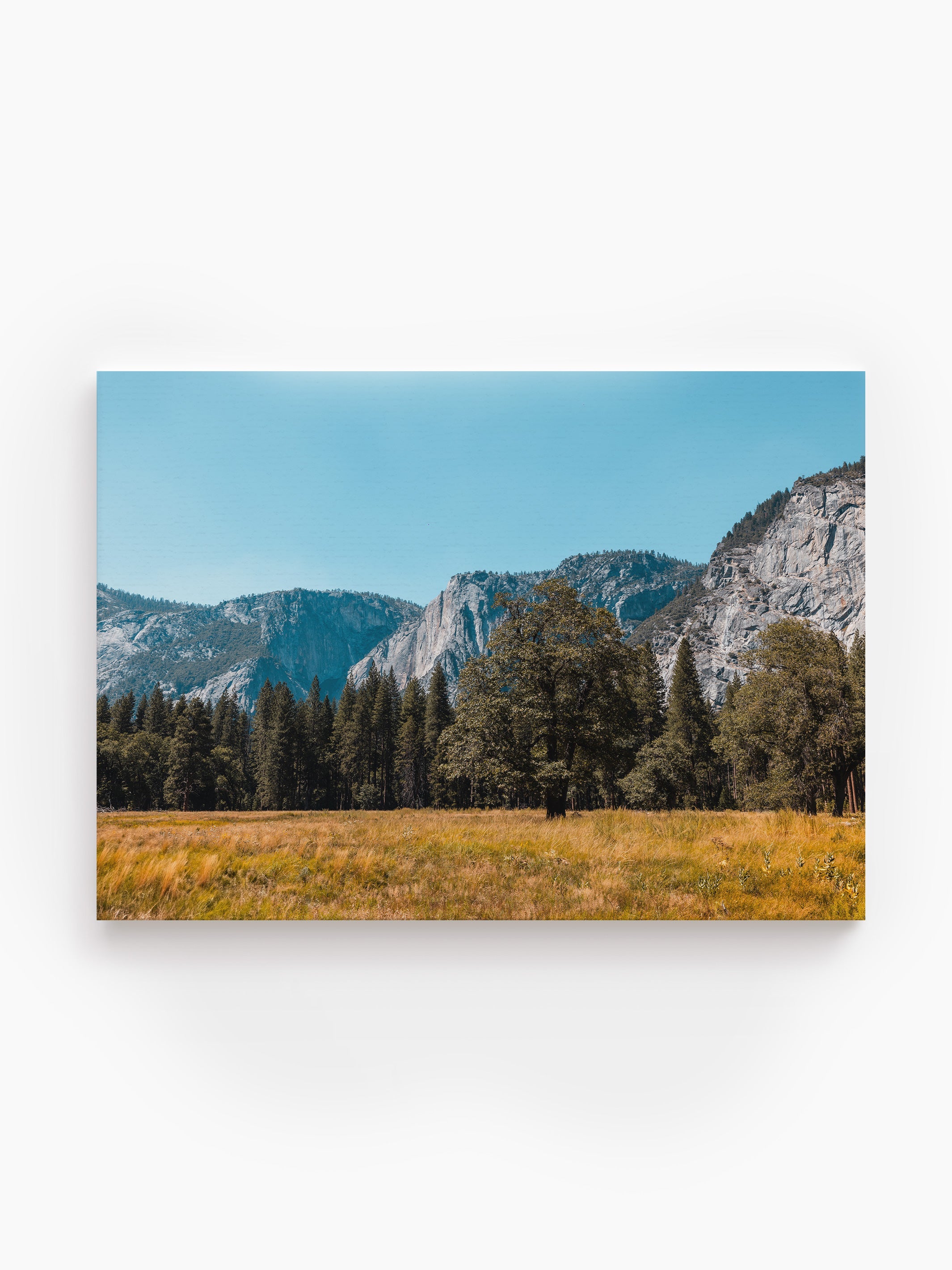Stretched Canvas