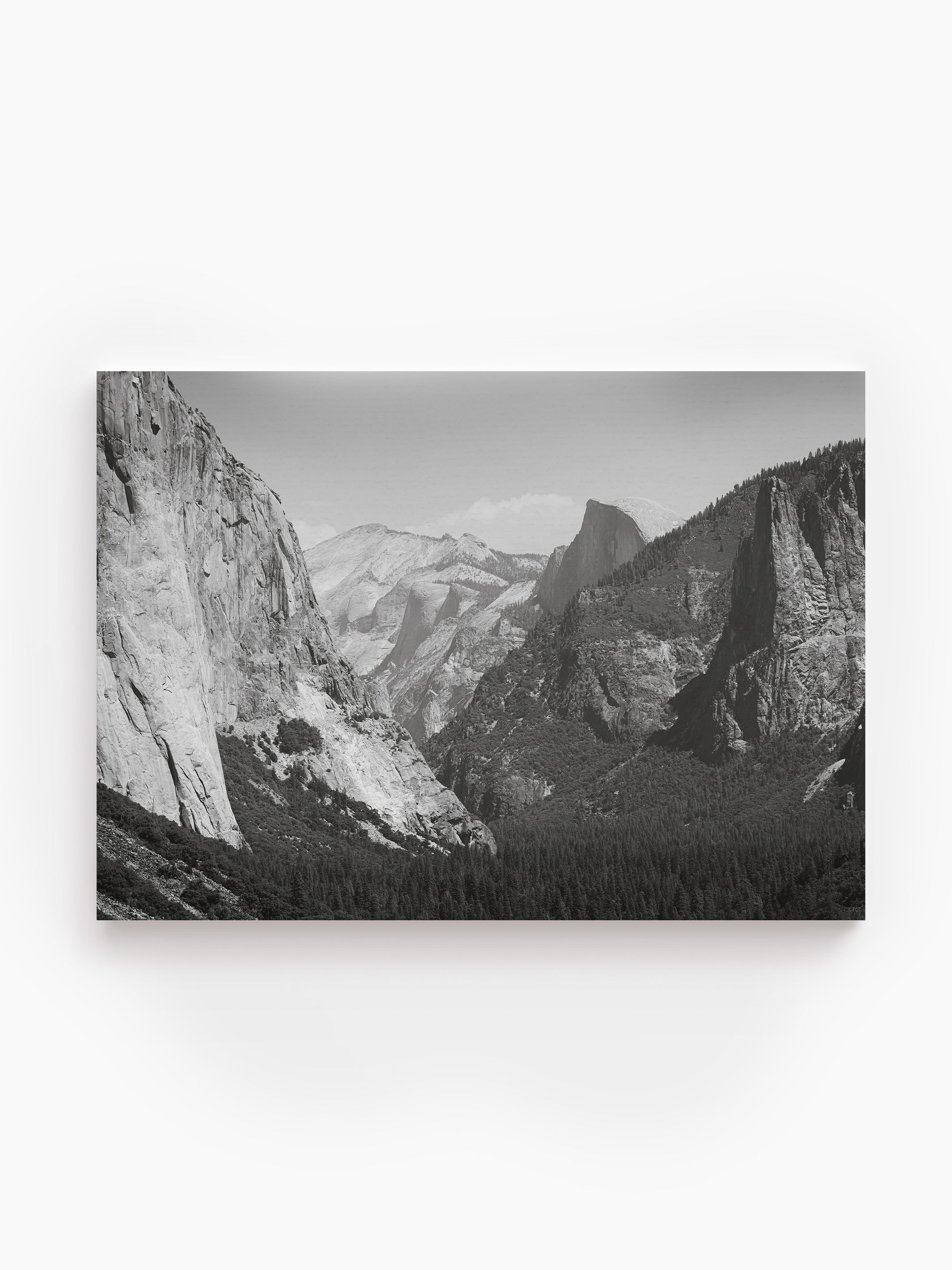Stretched Canvas
