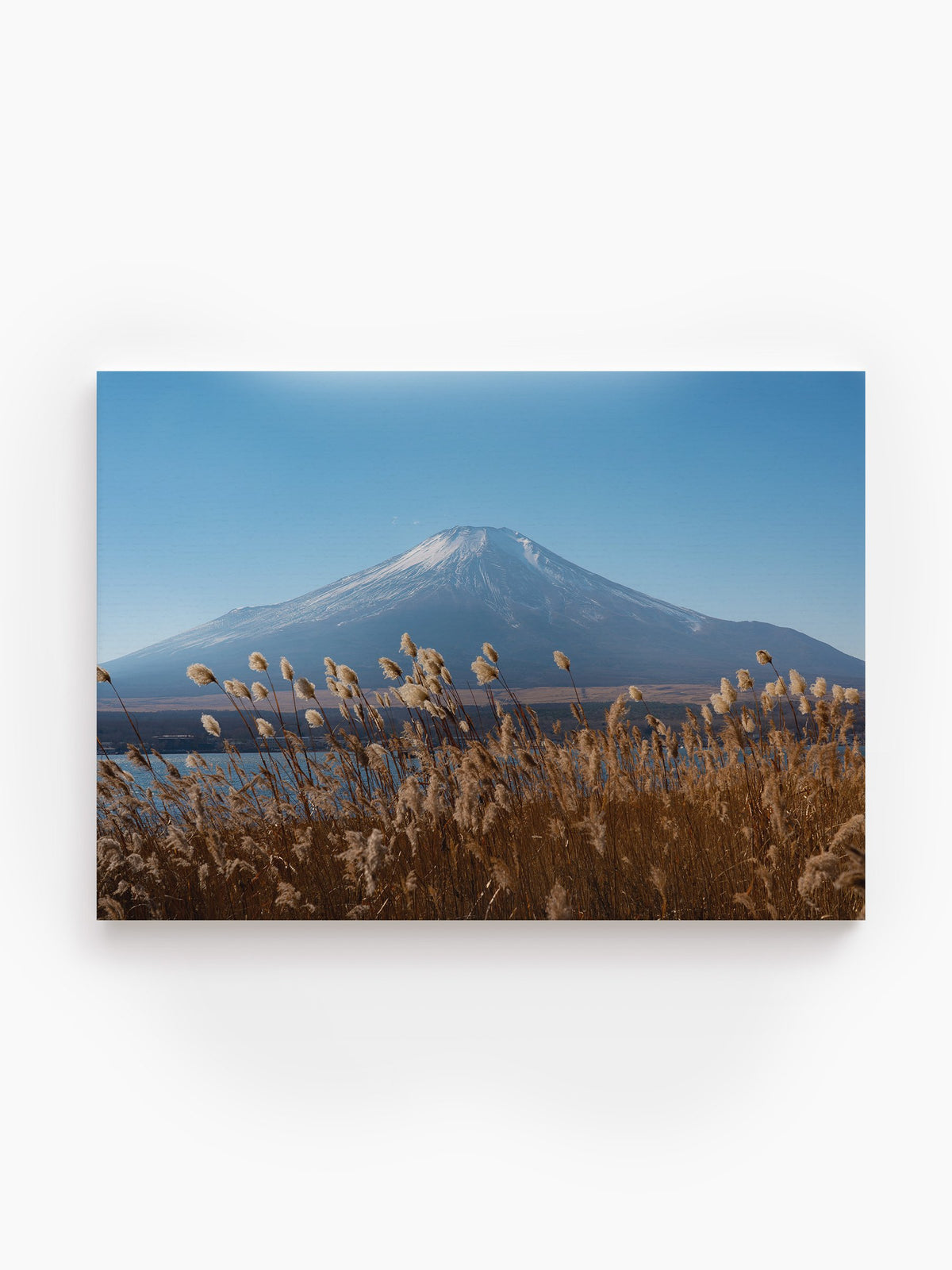 Stretched Canvas
