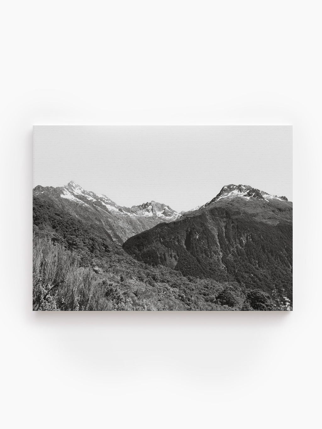 Stretched Canvas