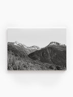Stretched Canvas