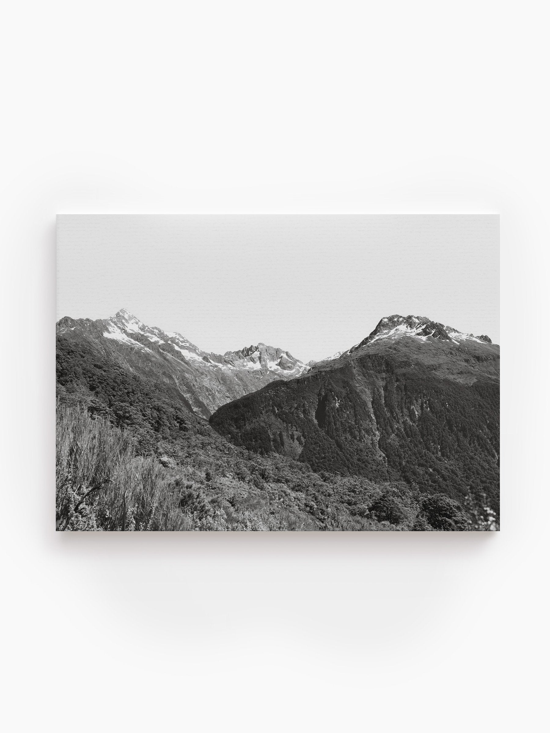 Stretched Canvas
