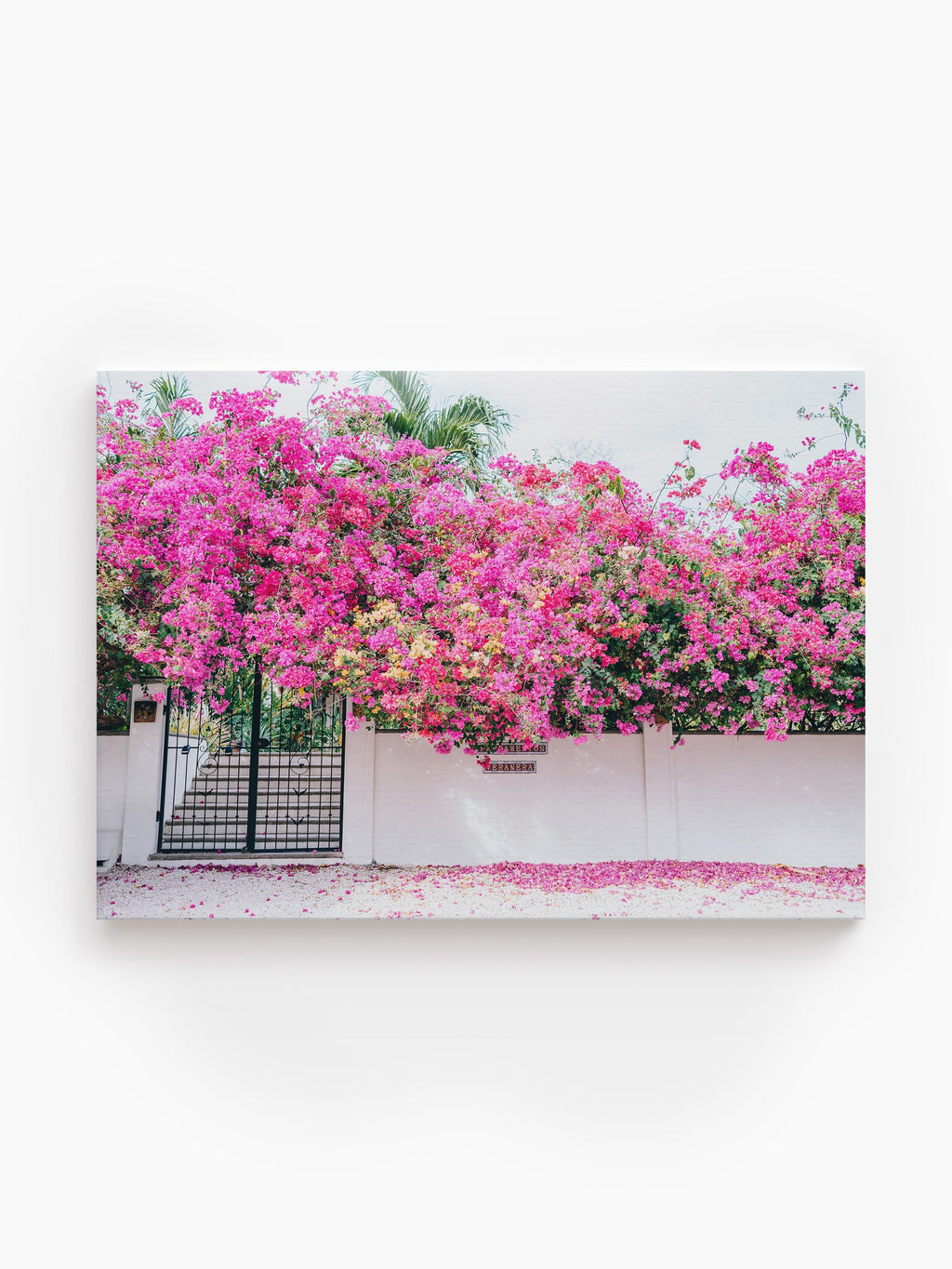 Stretched Canvas
