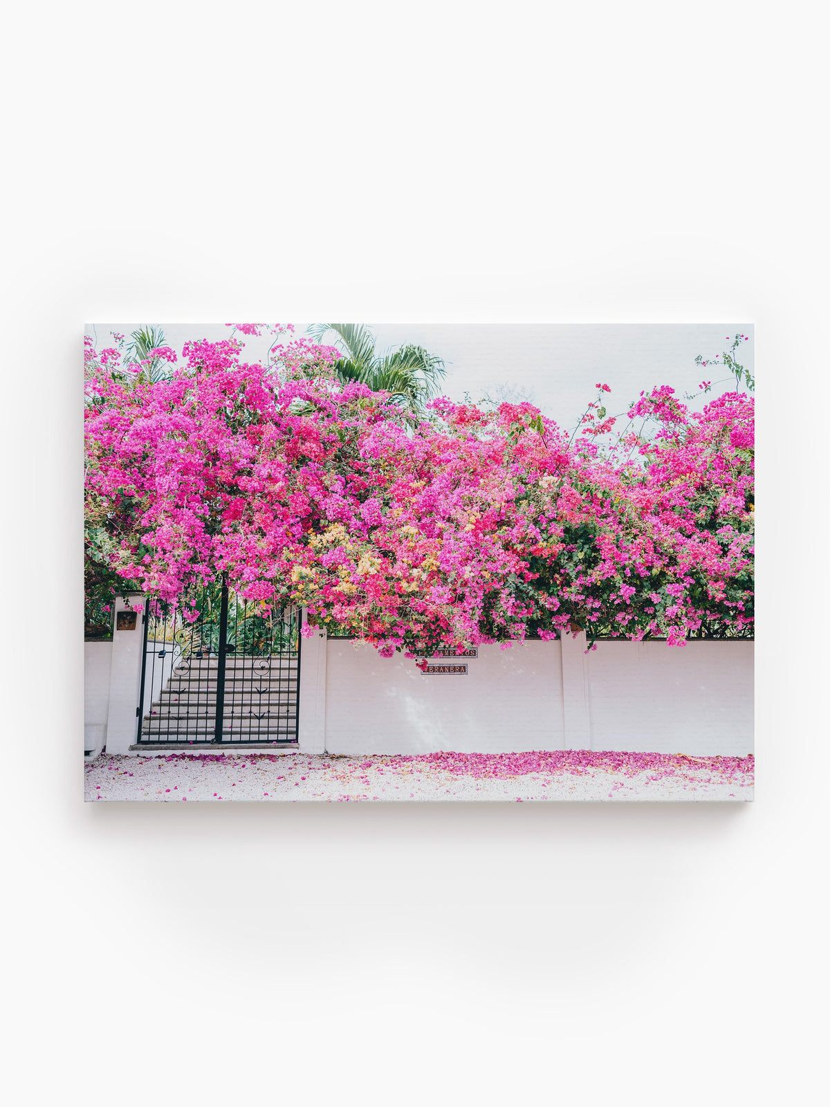 Stretched Canvas