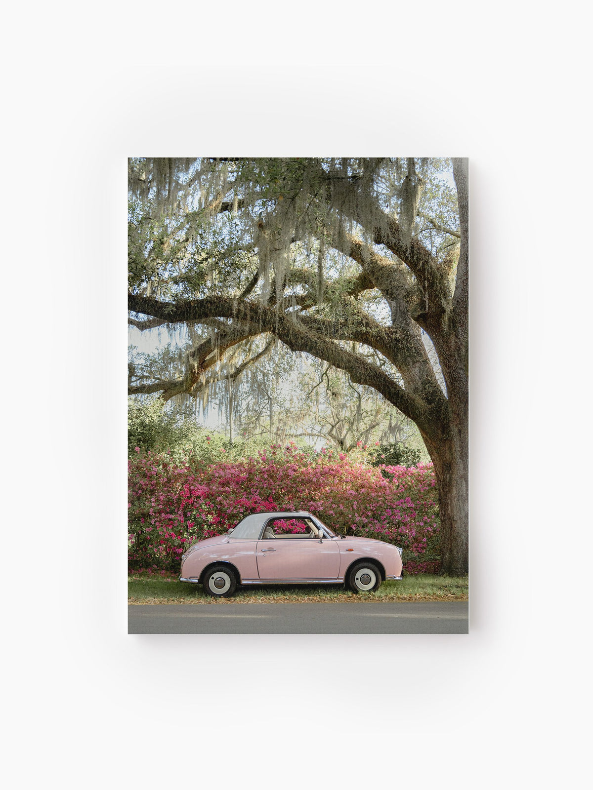 Stretched Canvas