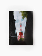 Stretched Canvas