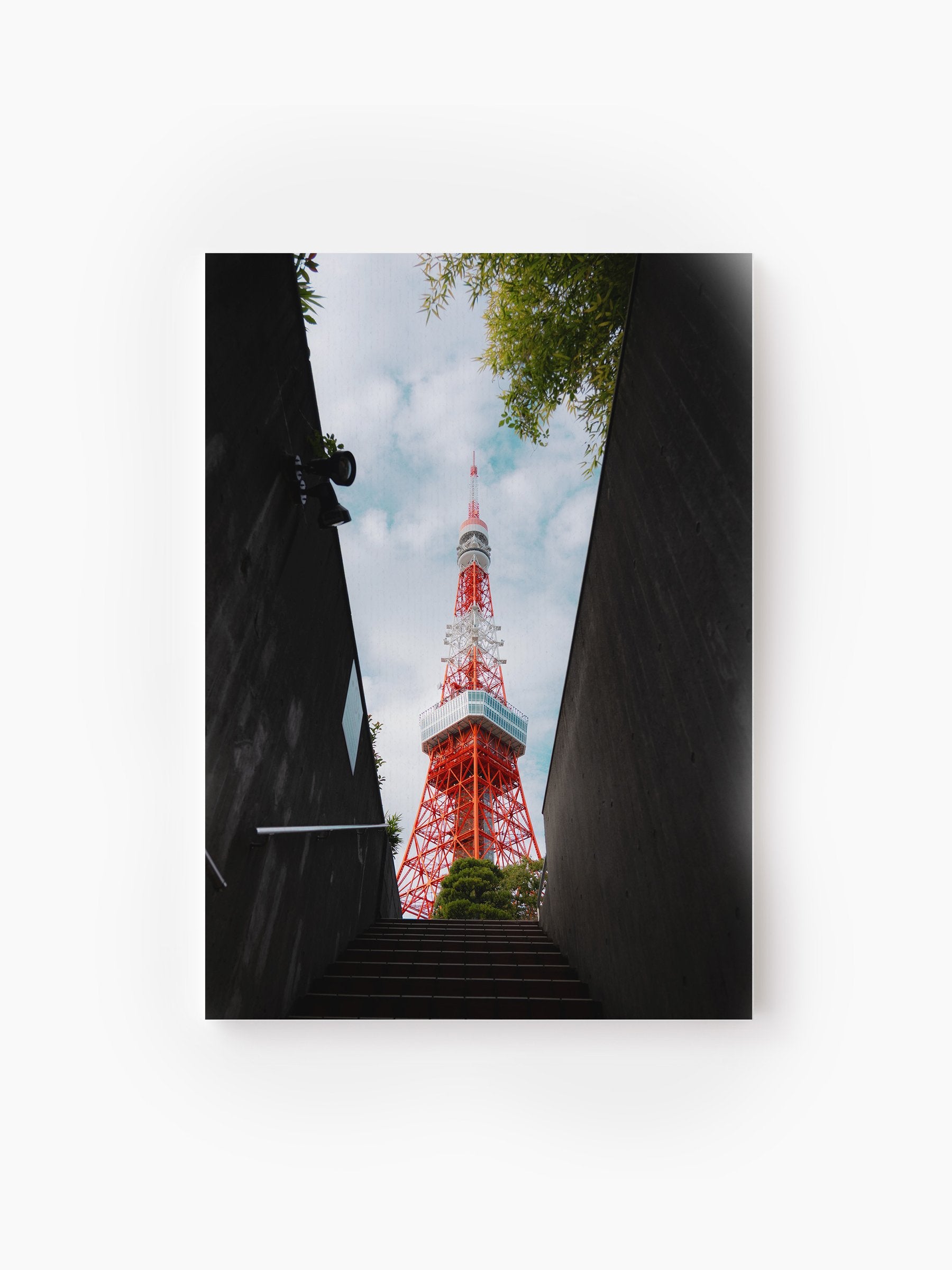 Stretched Canvas